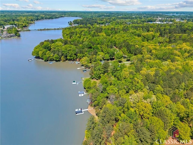 drone / aerial view featuring a forest view and a water view