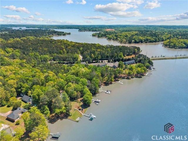 drone / aerial view featuring a water view and a view of trees