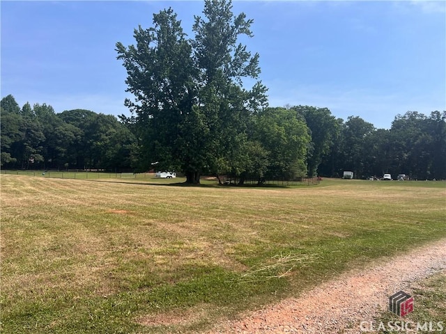 view of yard with a forest view