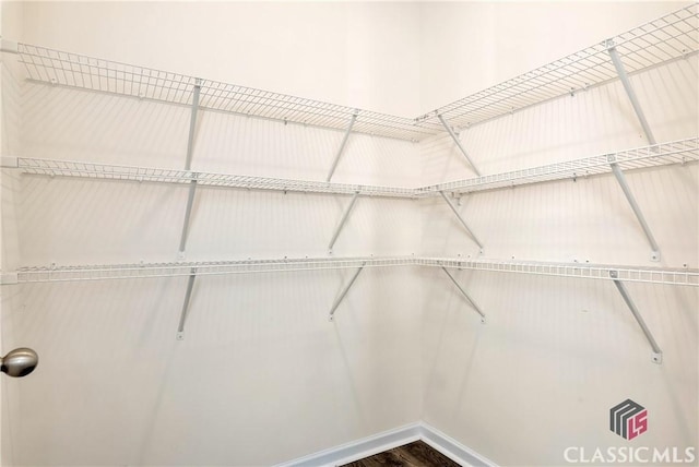 walk in closet with dark wood-style flooring