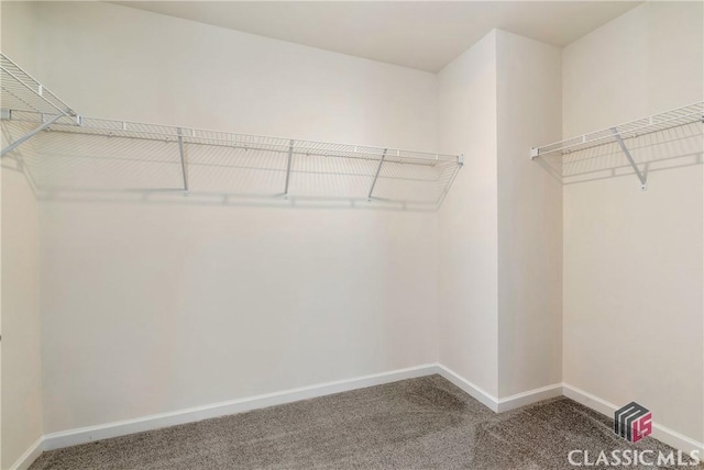 spacious closet with carpet floors
