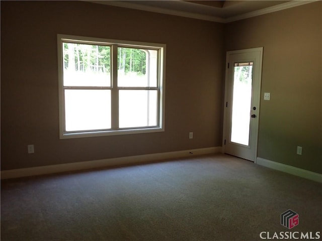 41 Hometown Ct, Jefferson, GA 30549 - unfurnished room with carpet flooring, crown molding, and baseboards