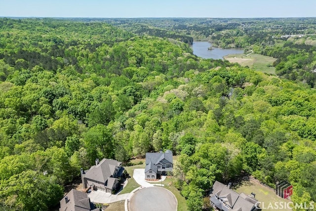 4208 Sierra Creek Ct, Hoschton, GA 30548 - aerial view of a heavily wooded area and a large body of water