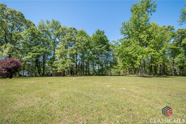 749 Diamond Hill Colbert Rd, Colbert, GA 30628 - view of yard