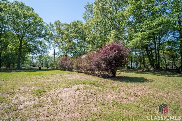 749 Diamond Hill Colbert Rd, Colbert, GA 30628 - view of yard