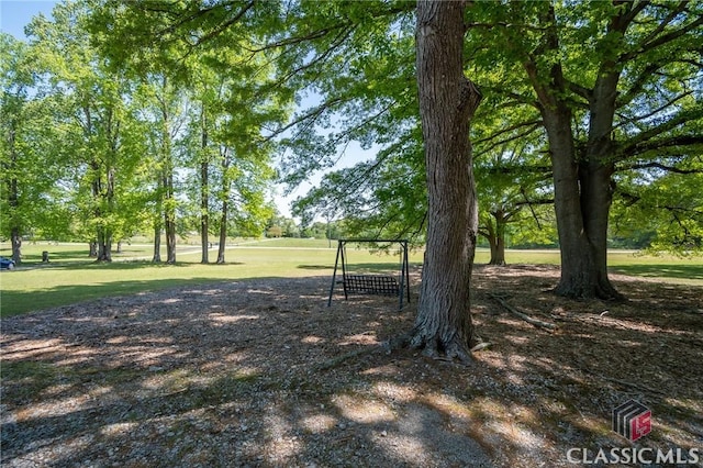749 Diamond Hill Colbert Rd, Colbert, GA 30628 - view of yard
