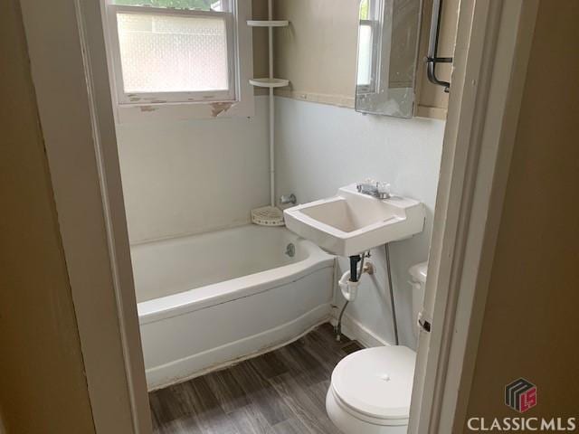 bathroom featuring toilet, a sink, a wealth of natural light, and wood finished floors