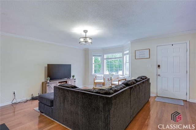 132 Tamara Ct, Athens, GA 30606 - living room featuring crown molding, a textured ceiling, and light wood finished floors