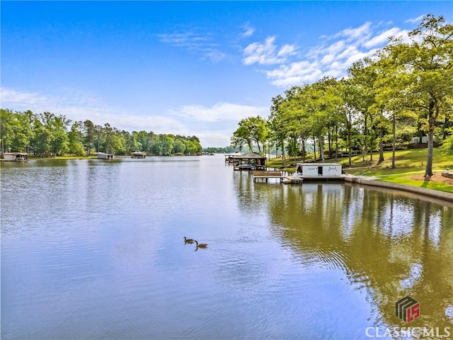 property view of water with a dock
