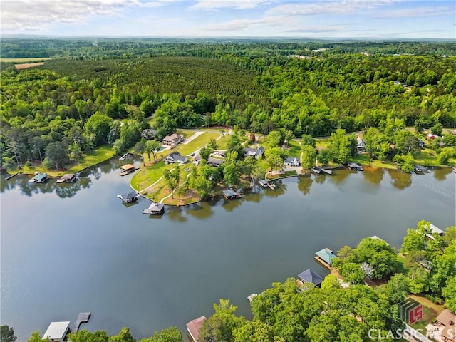 aerial view featuring a water view and a wooded view