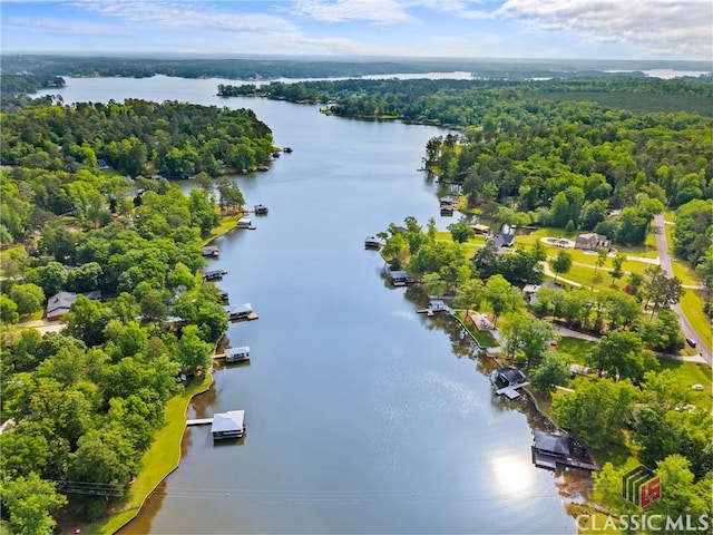 drone / aerial view with a water view and a forest view