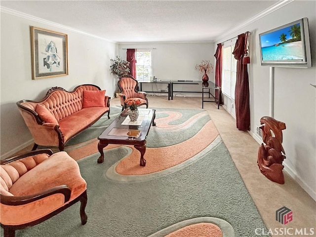 155 Broomsedge Trl, Athens, GA 30605 - living area with crown molding, baseboards, and light colored carpet
