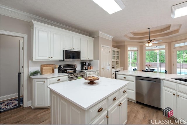 kitchen with a tray ceiling, appliances with stainless steel finishes, light wood-type flooring, and a center island