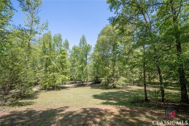 view of yard with a wooded view
