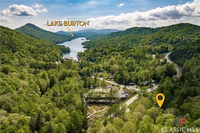 50 Atlanta Ln, Clayton, GA 30525 - birds eye view of property featuring a water and mountain view and a wooded view