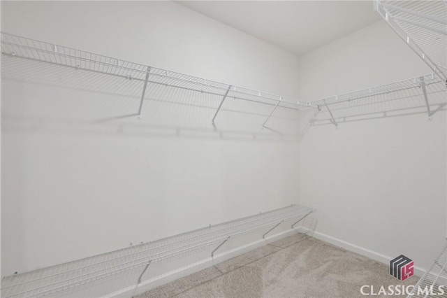 walk in closet with carpet