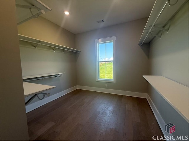 1200 Askew Trl, Greensboro, GA 30642 - spacious closet with dark wood-style flooring