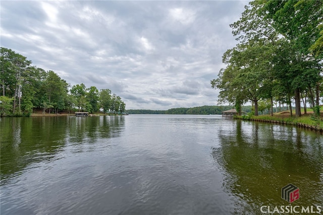 1200 Askew Trl, Greensboro, GA 30642 - water view