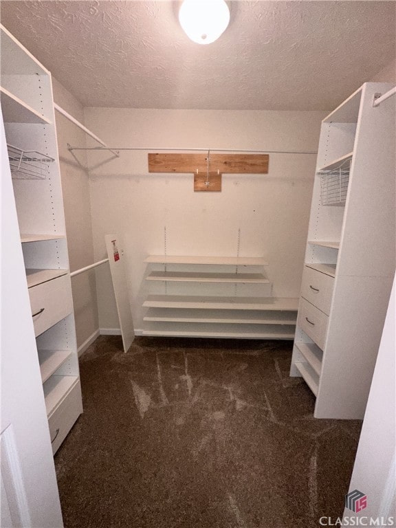 spacious closet with carpet flooring