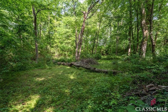 1130 Latham Dr, Watkinsville, GA 30677 - view of woods