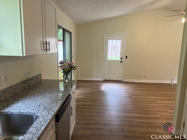 kitchen featuring stainless steel dishwasher, dark wood finished floors, a healthy amount of sunlight, and lofted ceiling