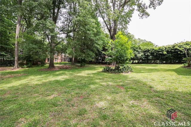 120 Hunt Rd, Athens, GA 30606 - view of yard