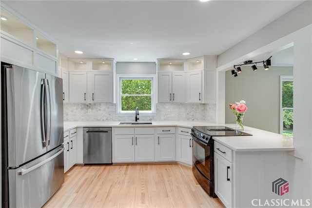 kitchen with a sink, a peninsula, stainless steel appliances, tasteful backsplash, and light wood finished floors