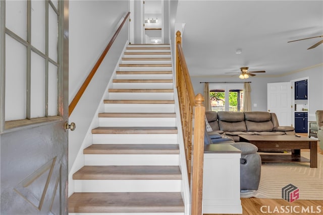 stairway featuring ceiling fan and wood finished floors