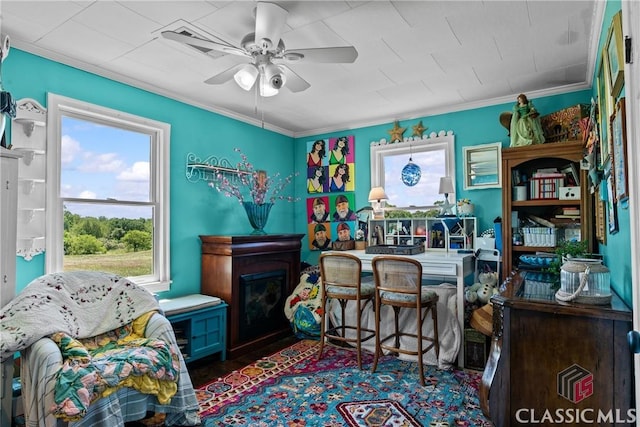 3081 Macedonia Rd, Union Point, GA 30669 - home office with a ceiling fan, ornamental molding, and a fireplace