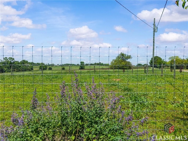3081 Macedonia Rd, Union Point, GA 30669 - view of yard featuring fence