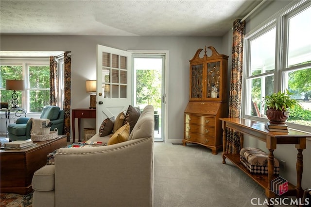 1181 Pete Dickens Rd, Bogart, GA 30622 - living area featuring a textured ceiling and light colored carpet