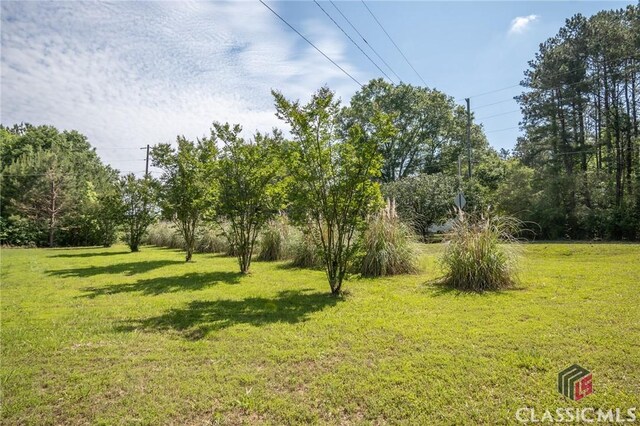 1181 Pete Dickens Rd, Bogart, GA 30622 - view of green lawn