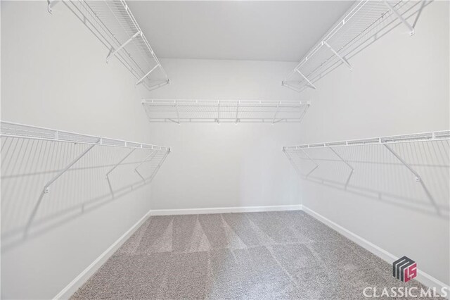 132 Water Oak Way, Crawford, GA 30630 - spacious closet featuring carpet flooring