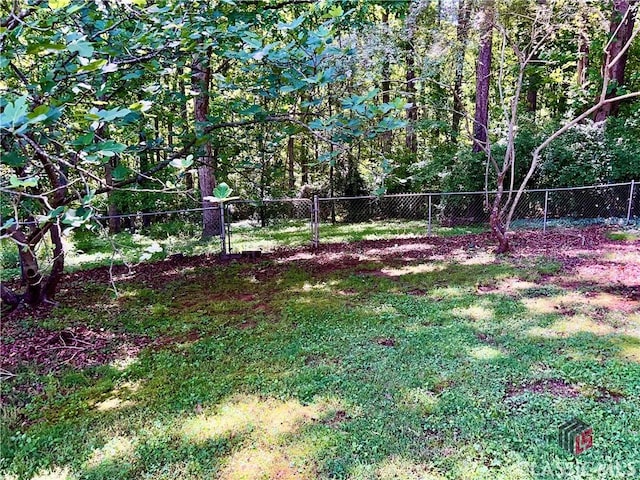 256 Cherokee Rdg, Athens, GA 30606 - view of yard