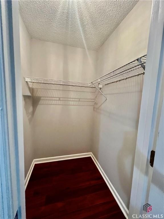 spacious closet with wood finished floors