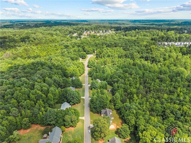 bird's eye view of a forest