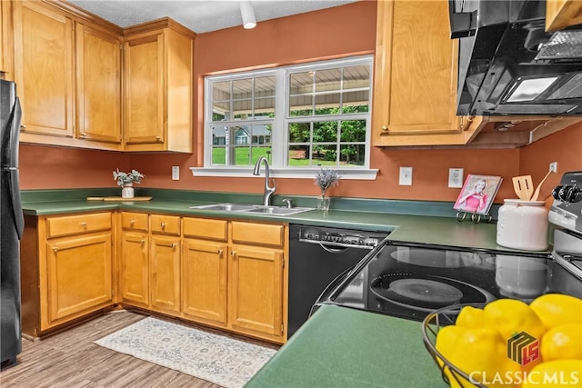 kitchen with a sink, light wood finished floors, and black dishwasher