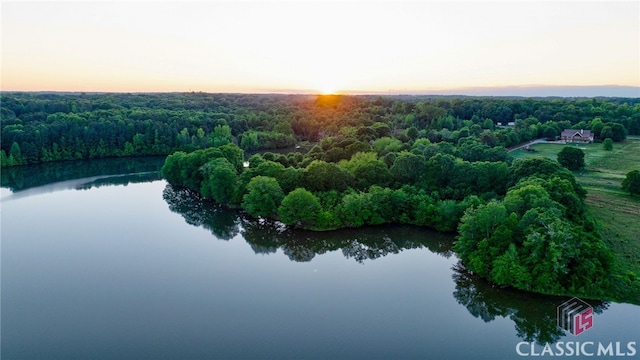 aerial view of a forest and a large body of water