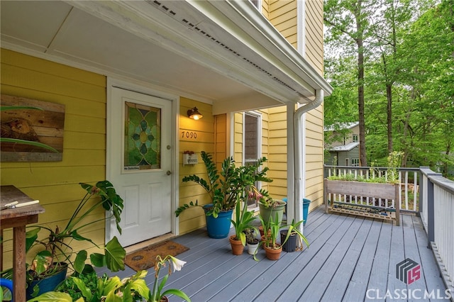 property entrance with a porch