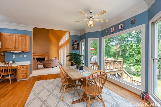 dining area with light wood-style flooring, ceiling fan, an office area, ornamental molding, and a fireplace