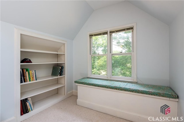 additional living space featuring vaulted ceiling, carpet floors, and baseboards