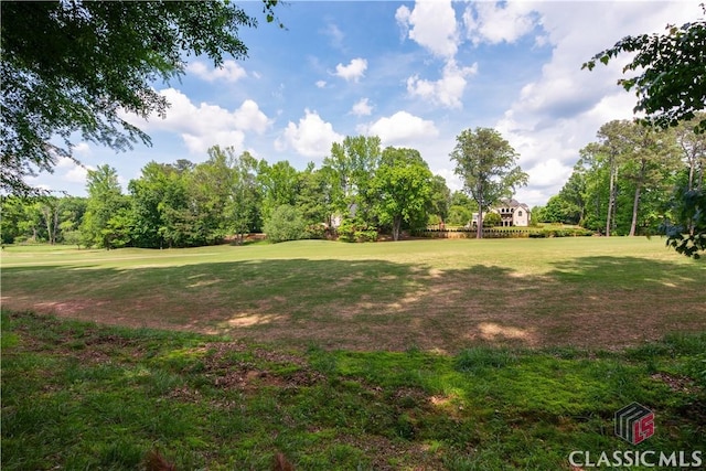 view of green lawn featuring view of scattered trees and view of golf course