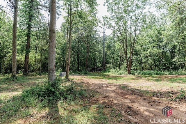 2100 New Hope Church Rd, Comer, GA 30629 - view of woods