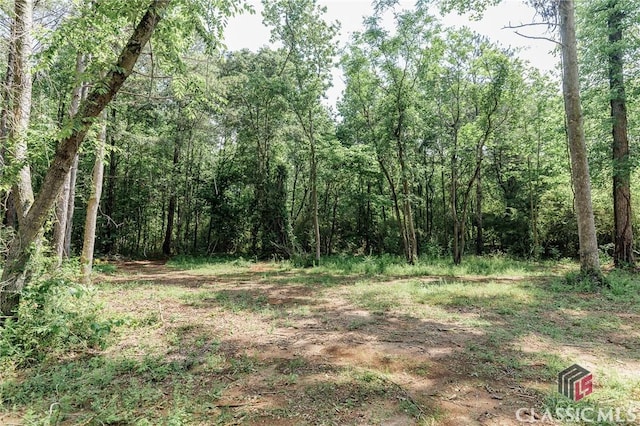 2100 New Hope Church Rd, Comer, GA 30629 - view of tree filled area