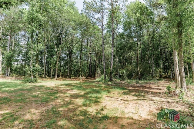 2100 New Hope Church Rd, Comer, GA 30629 - view of wooded area