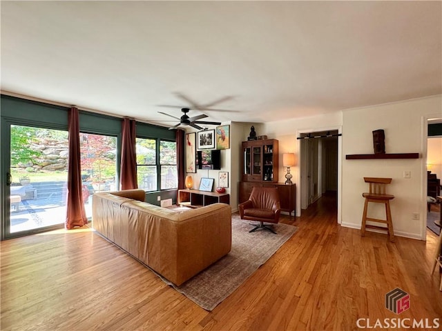 160 Gran Ellen Dr, Athens, GA 30606 - living room featuring a ceiling fan, wood finished floors, and plenty of natural light
