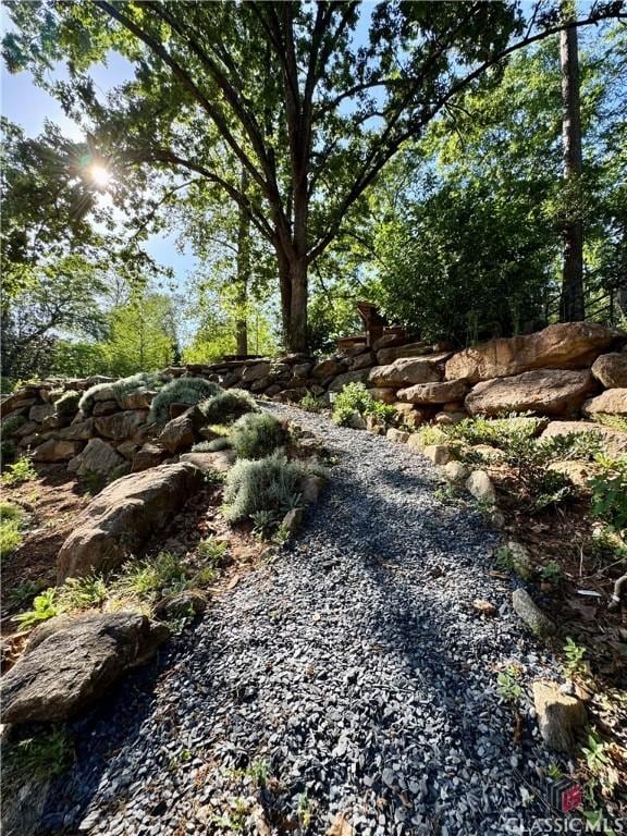160 Gran Ellen Dr, Athens, GA 30606 - view of yard