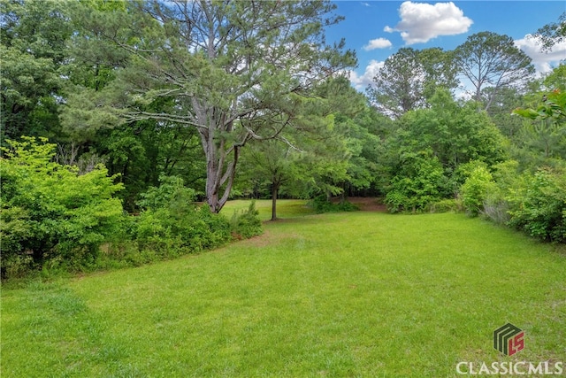 1119 John W Breedlove Rd, Monroe, GA 30656 - view of grassy yard