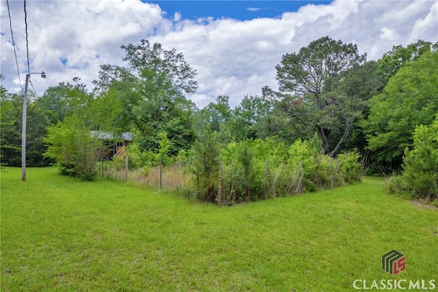 1119 John W Breedlove Rd, Monroe, GA 30656 - view of green lawn