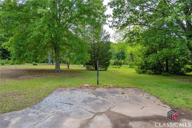 1119 John W Breedlove Rd, Monroe, GA 30656 - view of green lawn